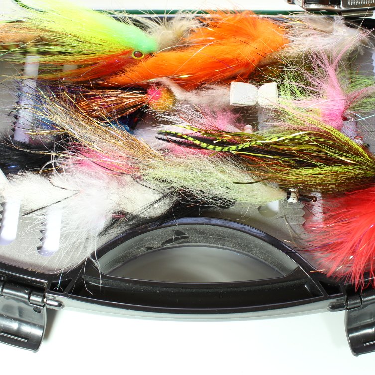 How to Organize Your Fly Boxes Guide