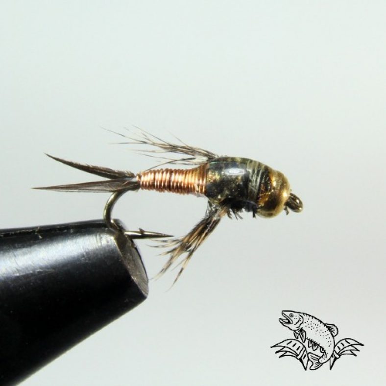 5 Favorite Fly Patterns for Lakes (Rainbow and Lake Trout) Guide