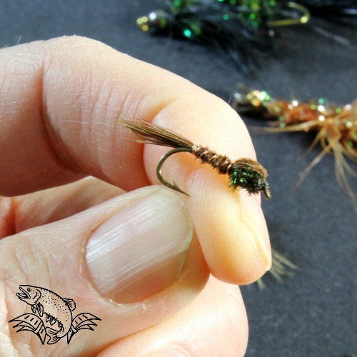 Everything You Need to Know About Fly Fishing for Kokanee Guide