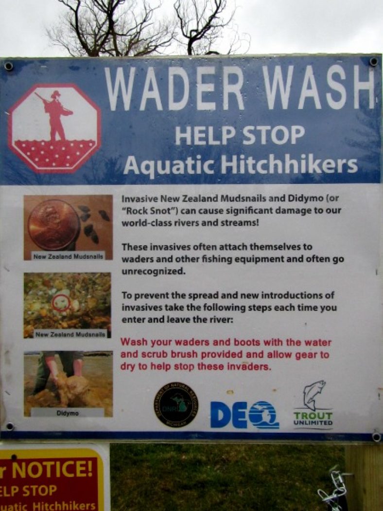 felt wading shoes banned