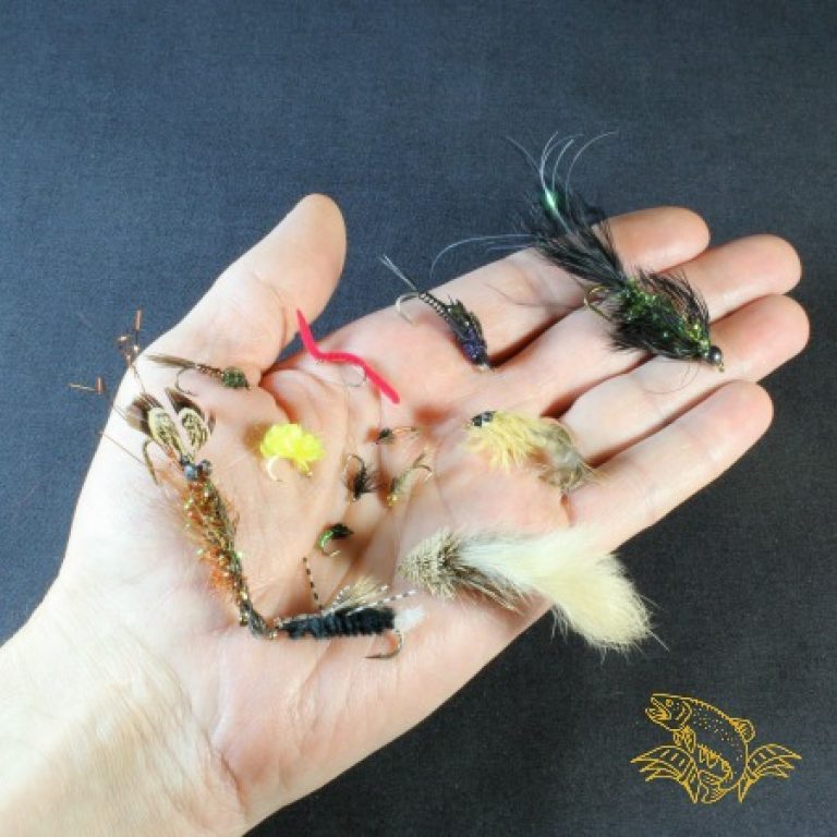 Beginner Fly Fishing Checklist Start Out Right Guide