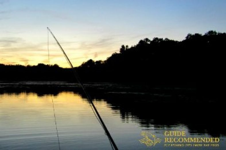 How to Fly Fish for Bluegills (Plus a KILLER Fly to Try!) Guide