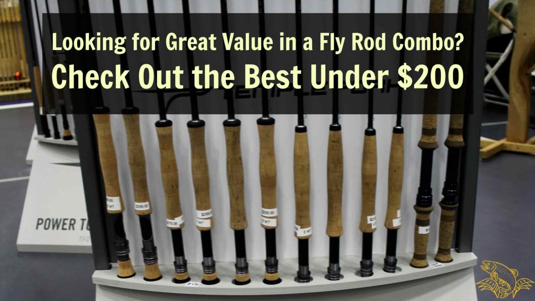 Best Fly Fishing Combo Under 200 Fly Rod, Reel and Line! Guide