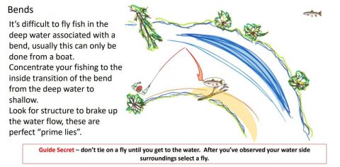 11 Best Blue Wing Olive Fly Patterns for Successful Trout Fishing ...