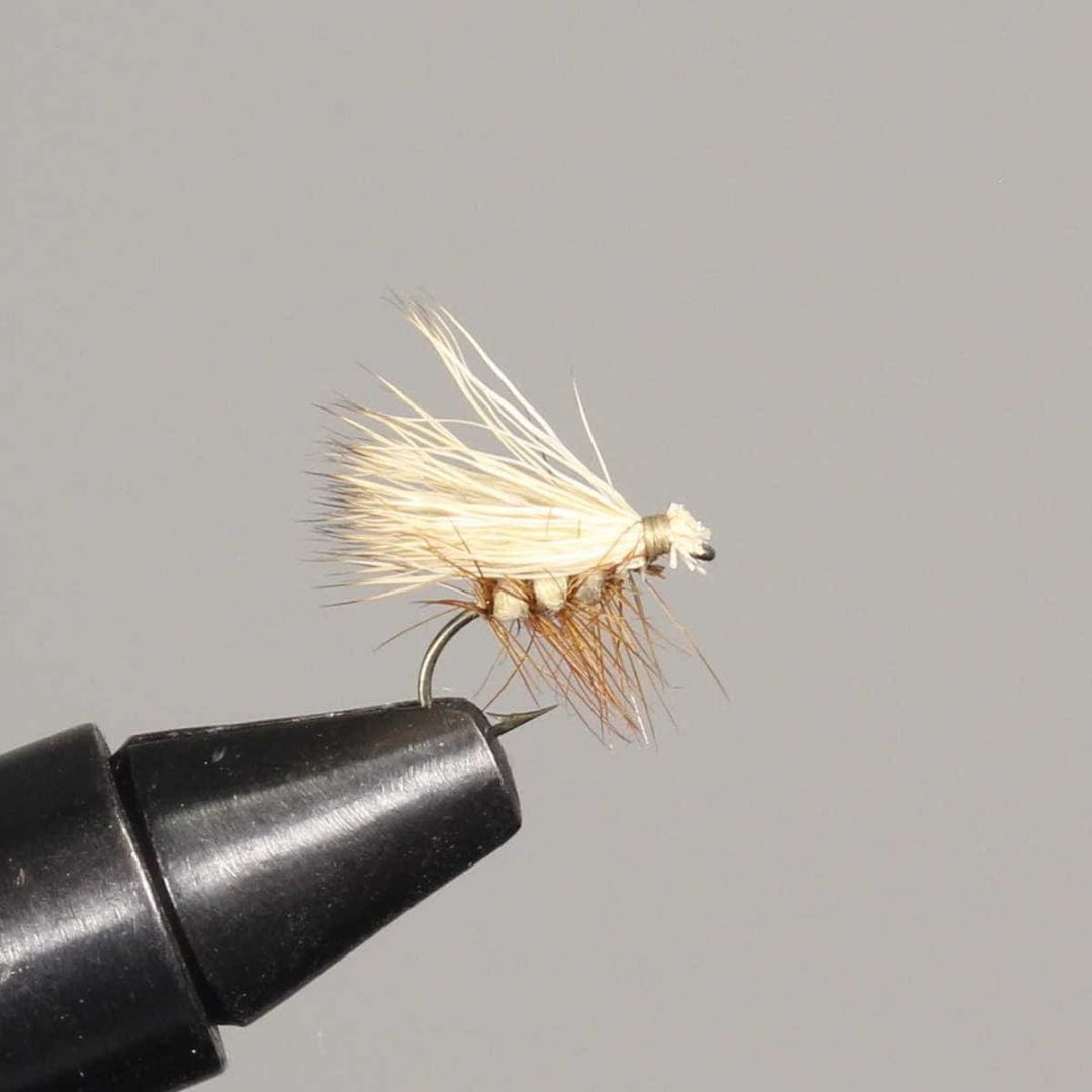 15 Best Flies for Rainbow Trout (with videos to setup) Guide