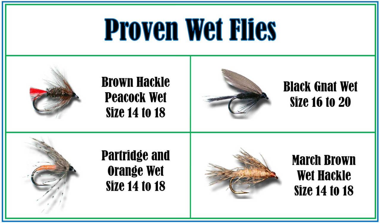 The Magic of Wet Flies (Fly Fishing Guide) Guide