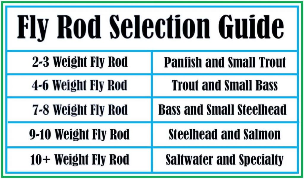 Complete Saltwater Fly Fishing Outfit – 9ft Rod, Reel, Line, Flies, Travel Tube