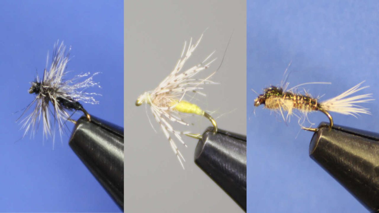 3 Great Trout Flies to Try and Tie Guide