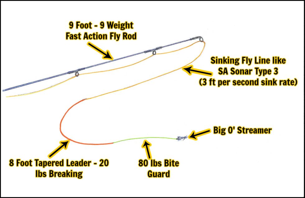 What Size Fly Rod for Pike Fishing? The Best Sizes Revealed! Guide