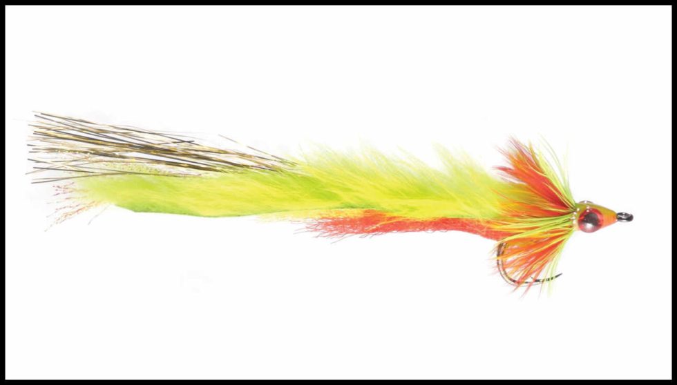 11 Best Flies for Catching Pike (Plus a Setup Guide) Guide