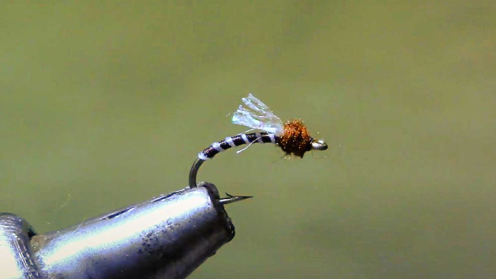 15 Must Have Midge Patterns That Catch Fish Guide Recommended