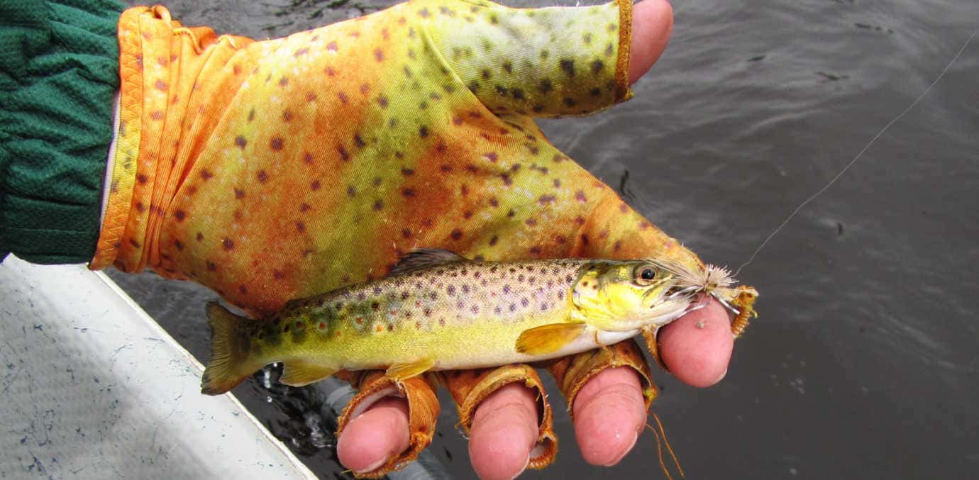 What to Wear Under Waders? in all Weather Conditions) Guide