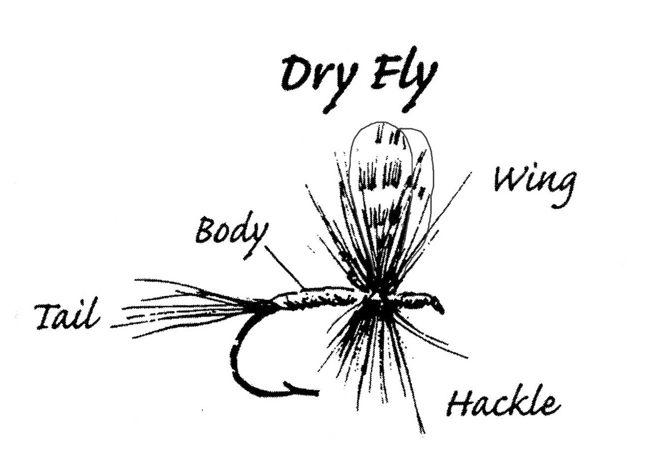 Selecting Fly Tying Materials (Get Exactly What You Need) Guide