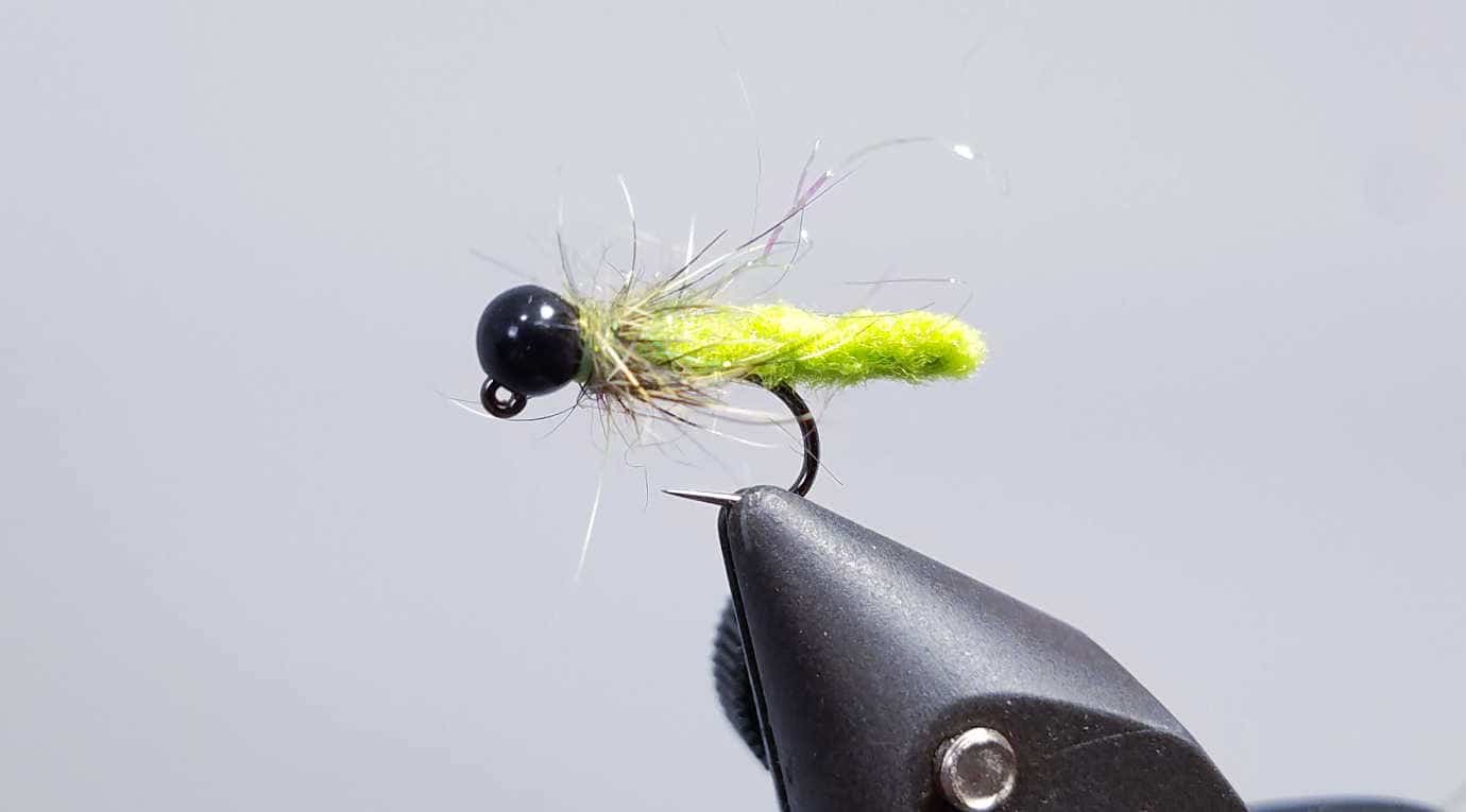 11 Best Flies for Carp (Catch, Rig and Tie) - Guide Recommended