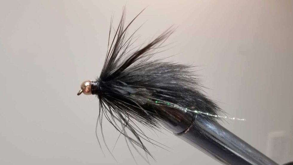 The Best Leech Fly Pattern I Could Find Guide
