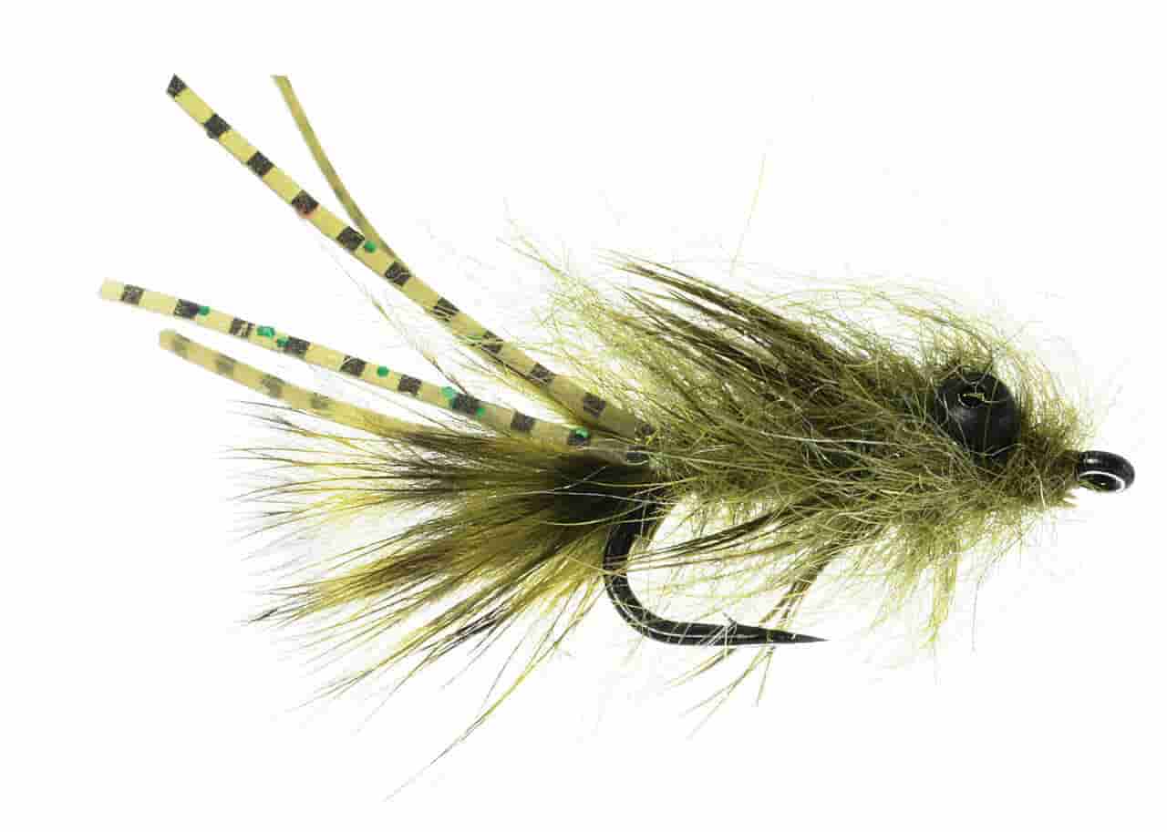 11 Best Flies for Carp (Catch, Rig and Tie) Guide
