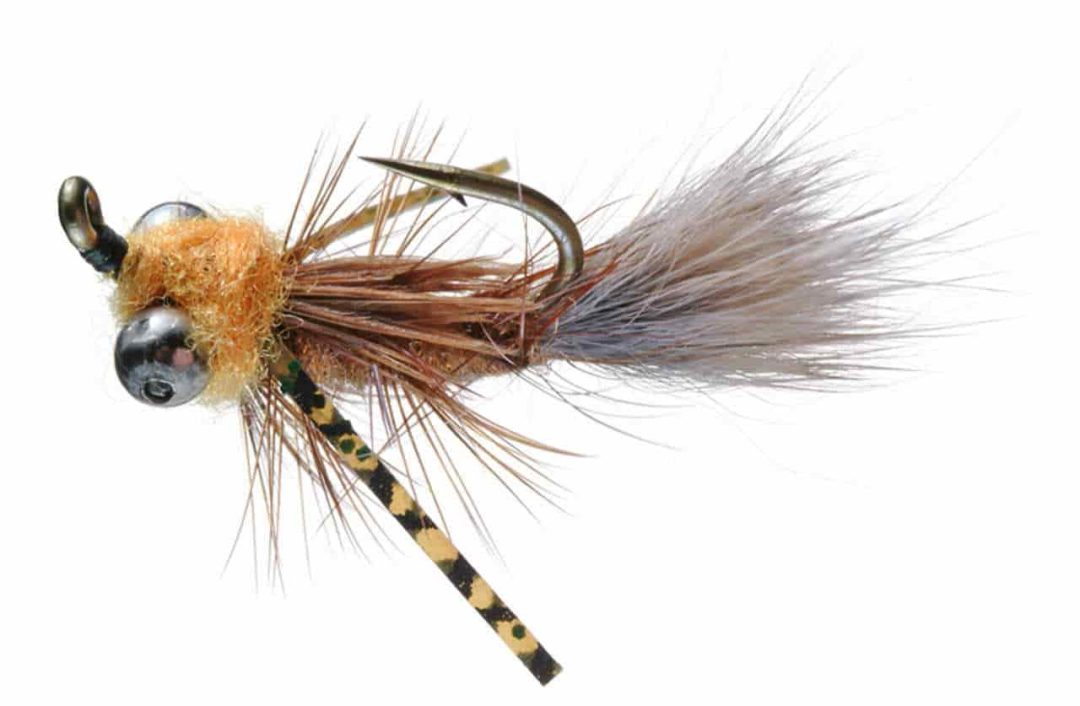 11 Best Flies for Carp (Catch, Rig and Tie) Guide