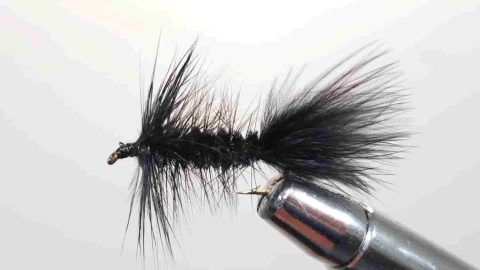 The Best Leech Fly Pattern I Could Find - Guide Recommended
