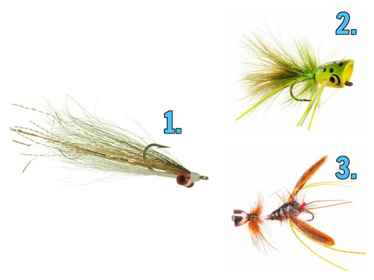 Best Places To Fly Fish on Devils River Texas (Maps, Flies & More