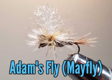 Adams Superfly Dry Fly Pattern – Colorado Fly Supply