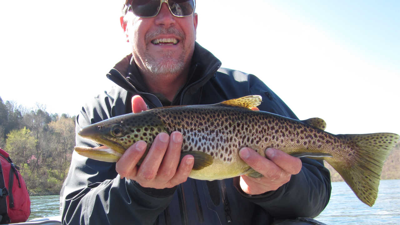 The Best Time to Fish the Green River Utah (Find Out When) Guide