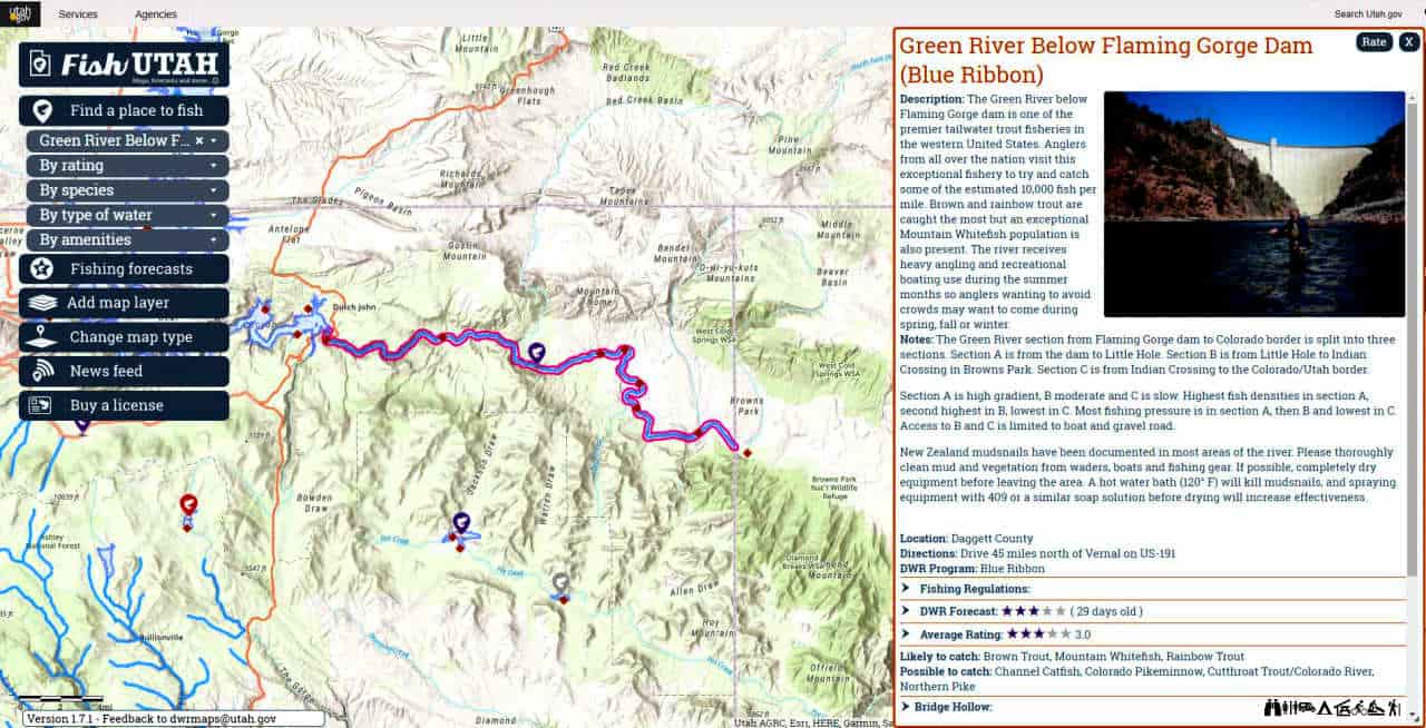 The Best Time to Fish the Green River Utah (Find Out When) Guide