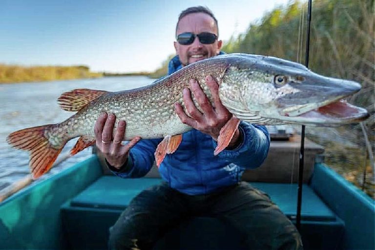 What Size Fly Rod for Pike Fishing? The Best Sizes Revealed! Guide