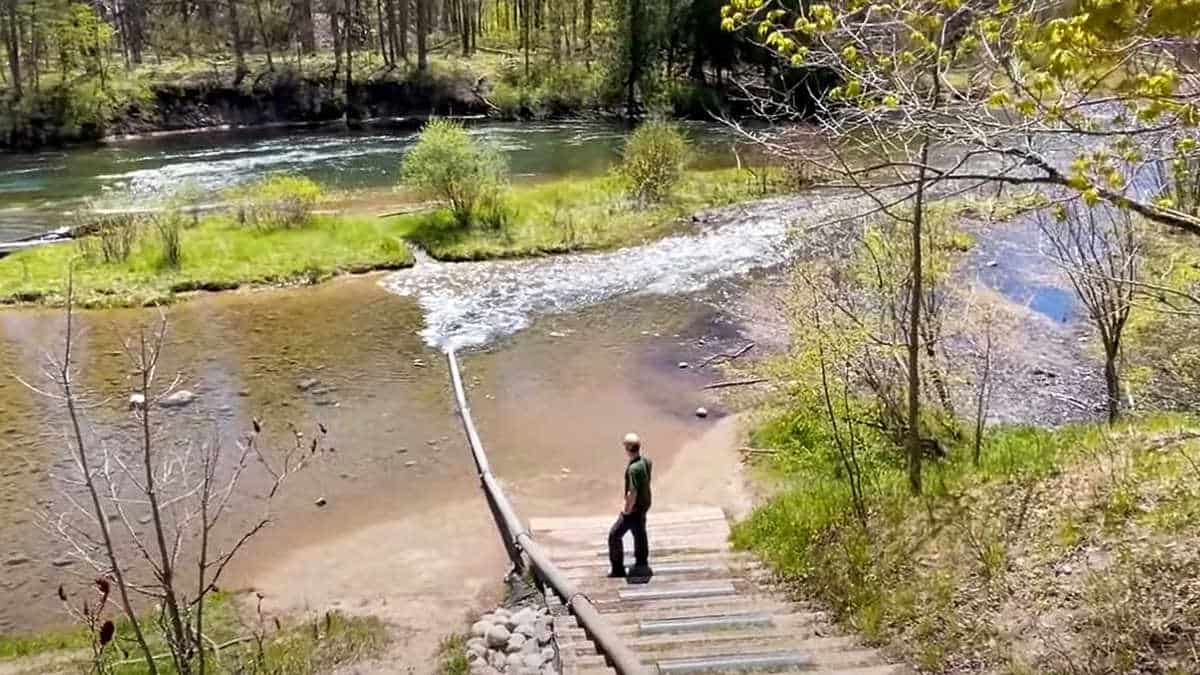 Do Stocked Trout Reproduce? (5 Stock Trout Questions Answered) Guide