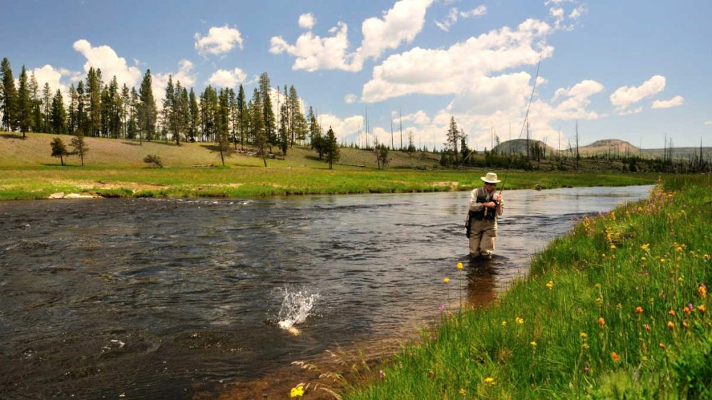 How Much Is a Fishing License in Wyoming? (Regulations and more