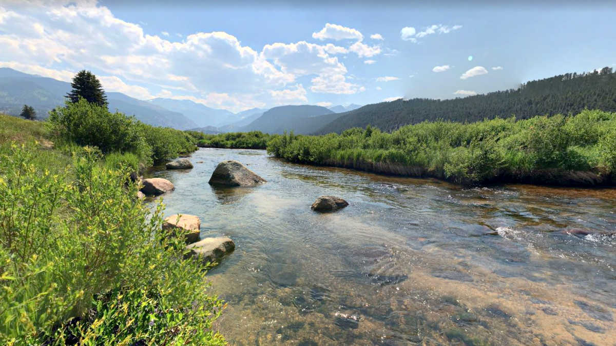 Fly Fishing the Big Thompson River in the Rocky Mountain National Park