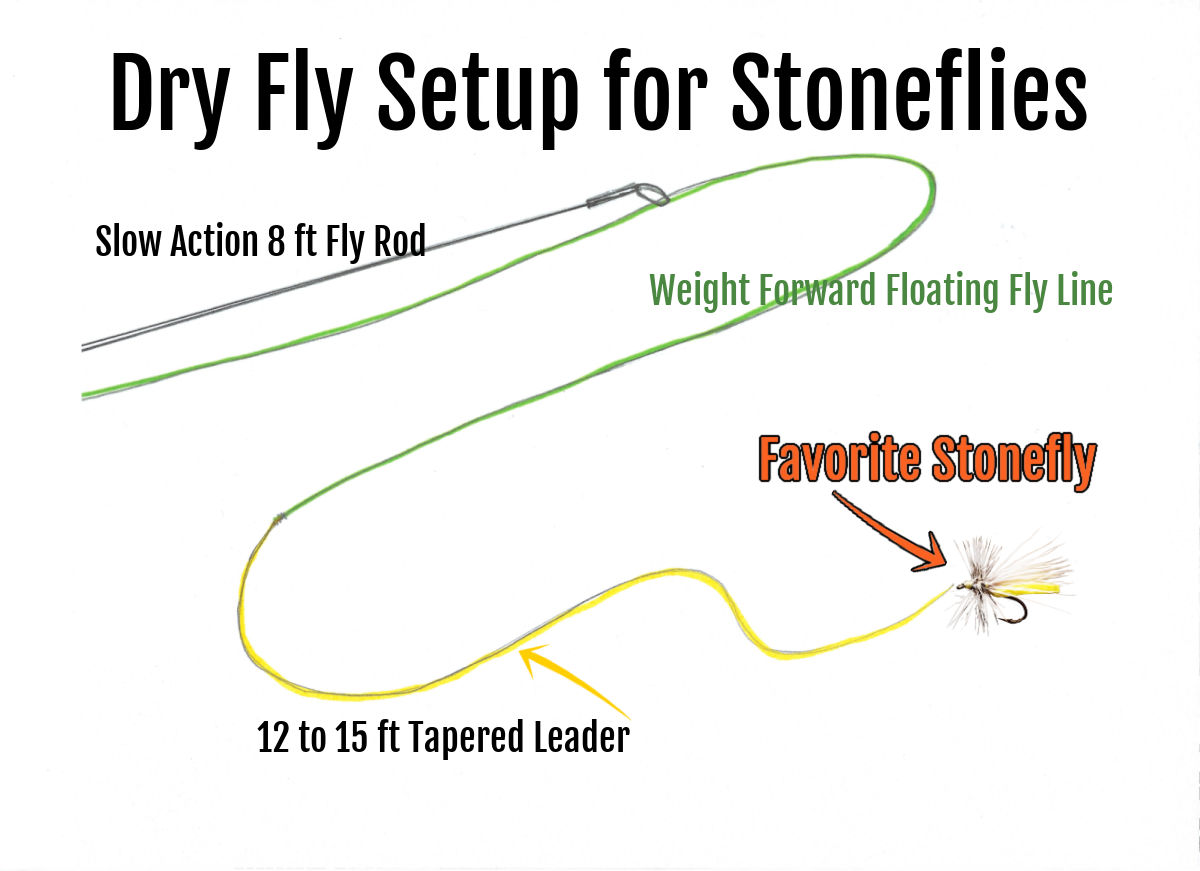 10 Best Stonefly Patterns (Nymphs, Dries with an Easy Fly to Tie