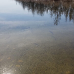 Maui Jim Red Sands Sunglasses Review (On-Water Testing Included