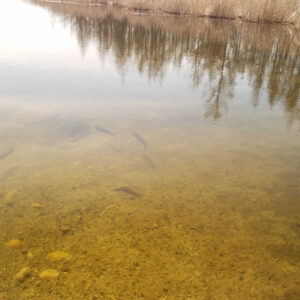 Maui Jim Red Sands Sunglasses Review (On-Water Testing Included